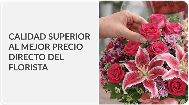 Envía a todo Chile